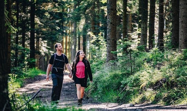7 dagen sprookjesachtige Zwarte Woud en mysterieuze Alpen