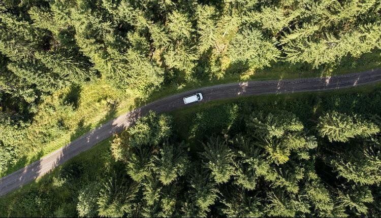 10 dagen historie en natuur in bijzonder Duitsland