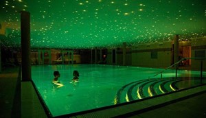 Wellness
