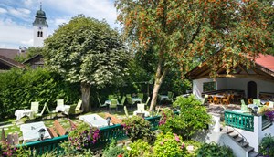 Prachtig groene tuin