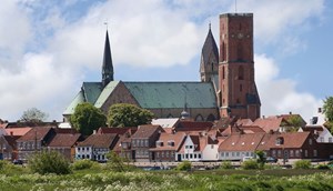 Ribe kathedraal