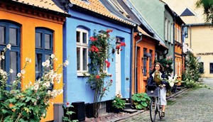 Mollestien lane Aarhus