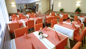 Hotel Savica