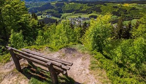 Sauerland
