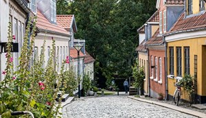 Odense