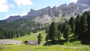 Dolomieten