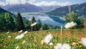panorama Zell am See