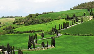 Chianti Toscane