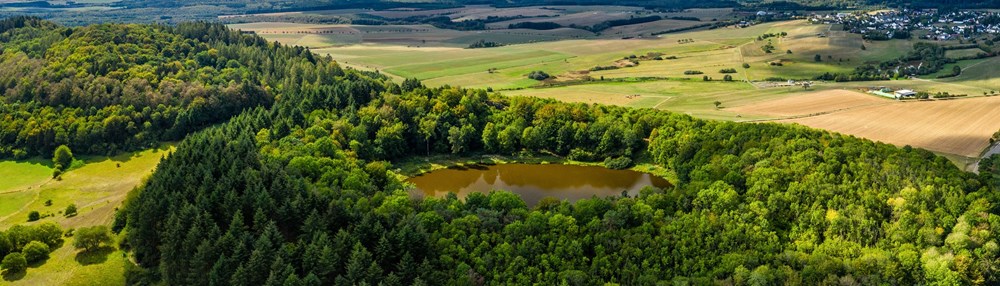 Blick auf den Windsborn Kratersee © Dominik Ketz Rheinland-Pfalz Tourismus GmbH