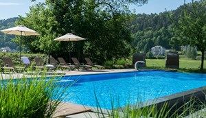 Parkhotel Bad Schandau zwembad