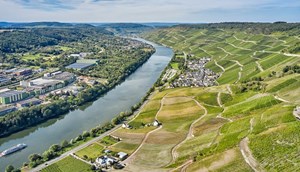 Moezel - wijnbergen Florian Trykowski Rheinland-Pfalz Tourismus